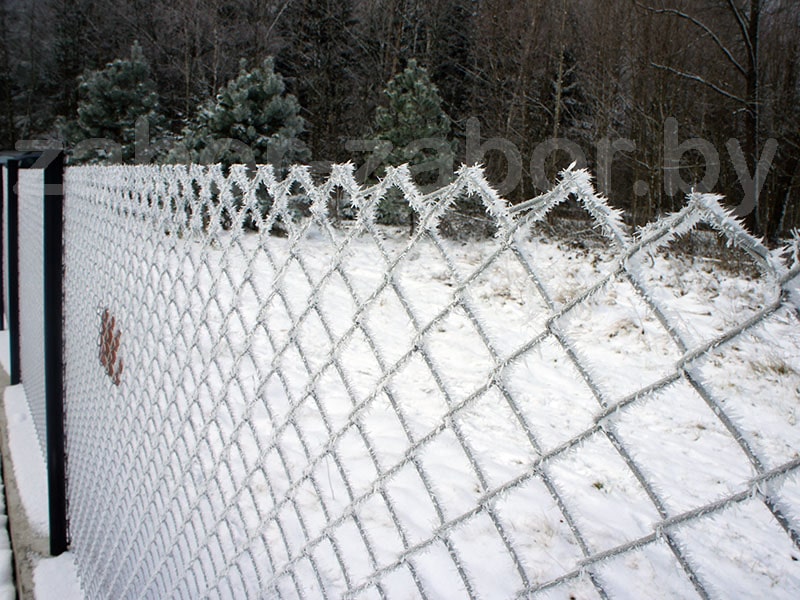 Фото забора из сетки-рабица зимой, проволока 3 мм
